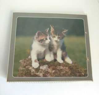 Mead Trapper Keeper Kittens With 3 Folders Vintage EUC Cat 4