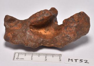 Mundrabilla Iron Meteorite,  Extremelly Rare Australia (mt52)