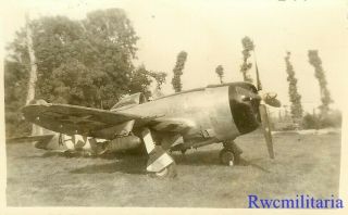 Org.  Photo: P - 47 Fighter Plane Parked On Field; Normandy,  France