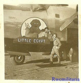 Org.  Nose Art Photo: B - 24 Bomber " Little Egypt "