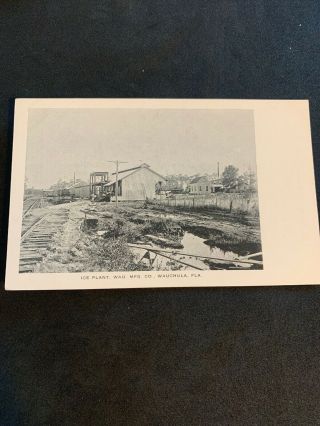 Vintage Postcard Ice Plant Railroad Wauchula Florida Hardware Store Photo