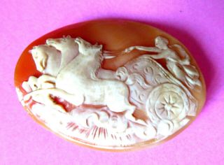 Antique Unmounted Cameo,  Carved Godess In 3 Horse Chariot.