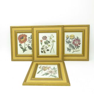Set Of 4 Vintage Robert Grace Gold Crackle Glaze Framed Botanical Art Prints