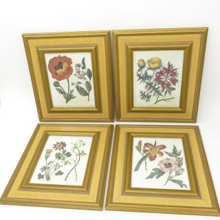 Set of 4 Vintage Robert Grace Gold Crackle Glaze Framed Botanical Art Prints 2