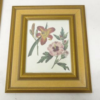 Set of 4 Vintage Robert Grace Gold Crackle Glaze Framed Botanical Art Prints 3
