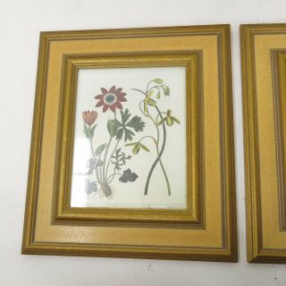 Set of 4 Vintage Robert Grace Gold Crackle Glaze Framed Botanical Art Prints 4