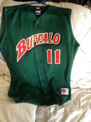 Vintage Buffalo Lovullo Minor League Baseball Jersey Sewn Rawlings Hof