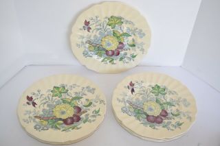 Vintage Set Of 12 Royal Doulton Kirkwood China Dinner Plates