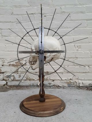 Craniometer Human Skull Display Stand / Skeleton Vintage Medical Real Halloween 4