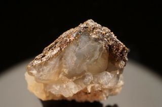 RARE Native Gold & Melonite after Calaverite Crystal CRIPPLE CREEK,  COLORADO 11