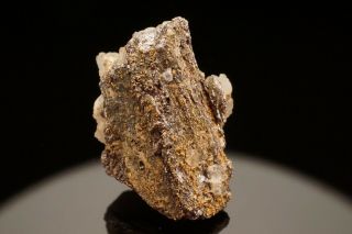 Rare Native Gold & Melonite After Calaverite Crystal Cripple Creek,  Colorado