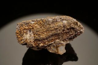 RARE Native Gold & Melonite after Calaverite Crystal CRIPPLE CREEK,  COLORADO 4