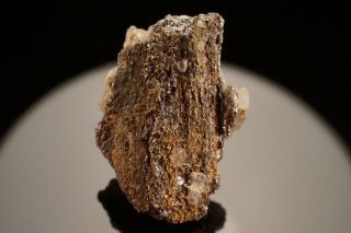 RARE Native Gold & Melonite after Calaverite Crystal CRIPPLE CREEK,  COLORADO 5