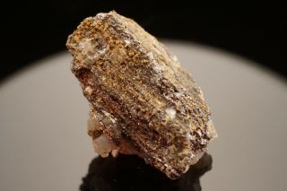 RARE Native Gold & Melonite after Calaverite Crystal CRIPPLE CREEK,  COLORADO 8