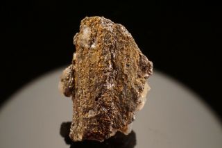 RARE Native Gold & Melonite after Calaverite Crystal CRIPPLE CREEK,  COLORADO 9