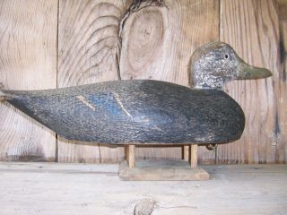 Antique - Vintage - Factory - Sperry - Black Duck - Wooden Duck Decoy