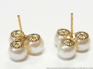 Vintage 14k Gold 6.  5mm Cultured Akoya Pearl Earrings 3 Stone Cluster Large Studs 5