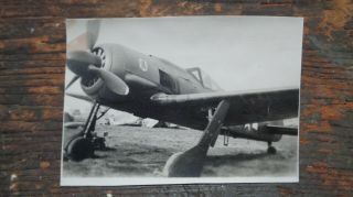 Wwii Vintage Aaf Veteran Photograph Captured German Aircraft Fw190 In Us Colors