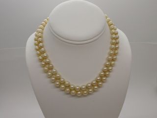 Vintage 14k Salt Water Cultured Pearl 2 Strand Choker Necklace 15 1/2 " 7.  5 Mm