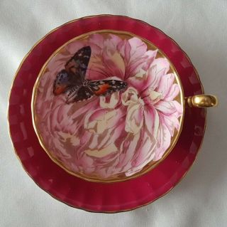 Rare Vintage Aynsley Butterfly Chrysanthemum Bone China Cup And Saucer Red Pink