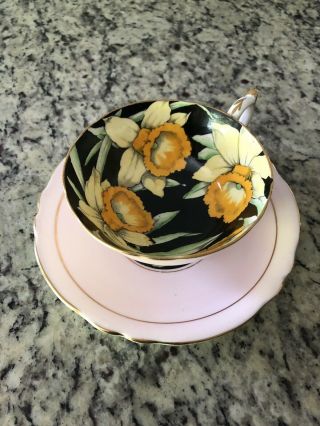 Vintage Paragon C/S - Daffodils On Black W/pink base - nr 5