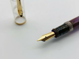 g702 PELIKAN Fountain Pen F Vintage Rare 4