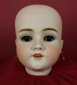 Antique Large German Walkure Bisque Socket Doll Head Brown Glass Sleep Eyes 16