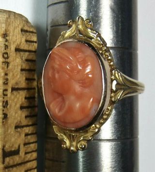 Antique Art Deco Nouveau 10k Gold Chinese Carved Cameo Salmon Coral Ring sz 6.  5 5