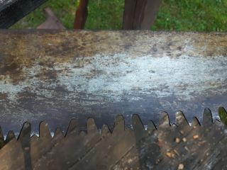 Vintage One Man CROSS CUT LOGGING SAW 42 inch.  With helpers handle 7