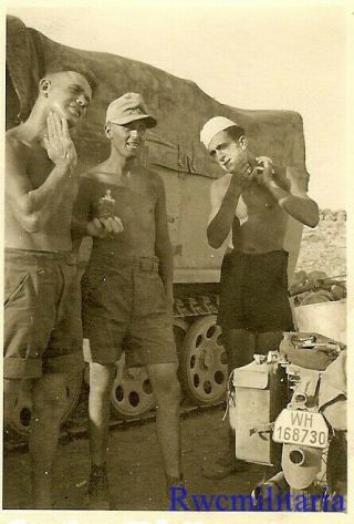 Best Wehrmacht Afrika Korps Soldiers In Desert W/ Sdkfz Halftrack & Motorcycle