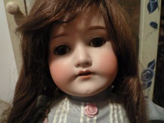 Antique German Doll C.  M.  Bergman Beauty 1916 9 Brown Hair Brown Eyes Large Doll