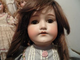 antique german doll c.  m.  bergman beauty 1916 9 brown hair brown eyes large doll 2