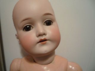 antique german doll c.  m.  bergman beauty 1916 9 brown hair brown eyes large doll 7