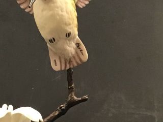 BOEHM Rare CALLIOPE HUMMINGBIRD In Flight Figurine 64004 Bird LE Sculpture 10