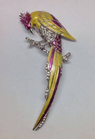 Large Early Vintage MB Boucher Enameled Exotic Bird Of Paradise Pin 2