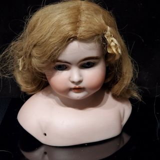 Large Antique German Turned Head Bisque Shoulder Head Doll For Large Kid Body