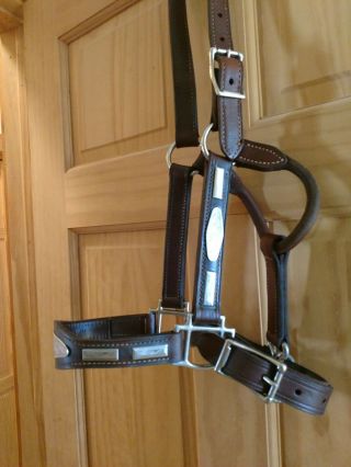 Vintage Silver Show Halter Horse Size Leather Quality