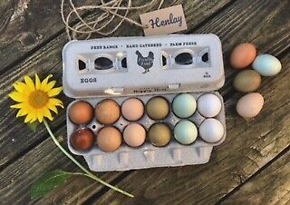 Henlay Egg Cartons - 250/Bundle - Vintage Design - Made in USA w Recycled Paper 3