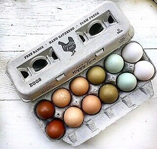 Henlay Egg Cartons - 250/Bundle - Vintage Design - Made in USA w Recycled Paper 7
