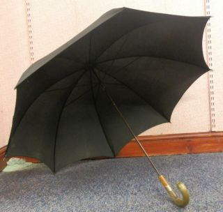 Antique Mans Umbrella With Hallmarked 9 Carat Gold Collar And Bovine Horn Handle