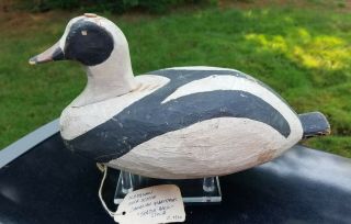 Oldsquaw Duck Decoy Nova Scotia Turtle Back C1920 - 30