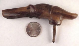 Antique Carved Brown Horn Handle Of A Hound Dogs Head Cane - Malacca