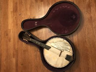 Vintage Vega Mandolin - Banjo