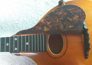 Vintage Gibson A Mandolin Pickguard 1909 Patent