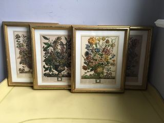 The Bombay Company Four Calender Month Floral Wall Art Framed