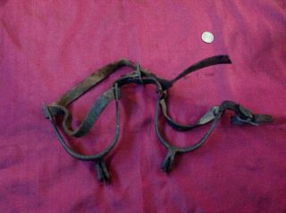 Antique Vintage Pair Calvary Spurs 12 Point Star Rowel Old Dug Patina Bad Straps