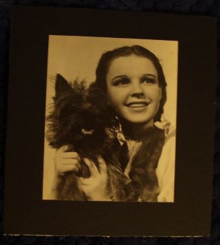 Vintage Photo Sexy Judy Garland Museum Find Rare Clarence Sinclair Bull