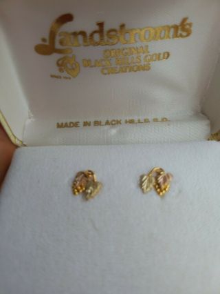 Vintage Landstrom’s Black Hills Gold 10k Stud Earrings