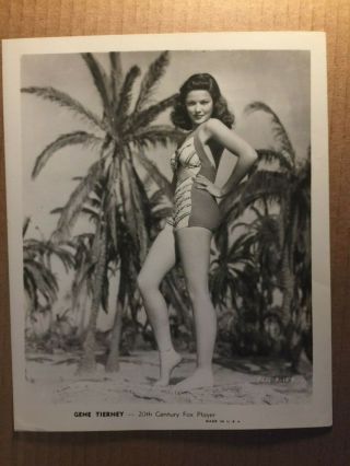 Gene Tierney Rare Stunning Vintage 8/10 Pin - Up Photo Wwii Gi 1944