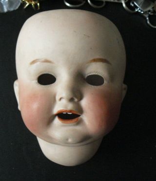 Rare Large Vintage Ernst Reinhardt 15 Usa Bisque Girl Doll Head 6 " Tall
